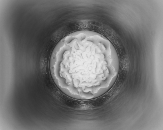 X0000101390737200807211012