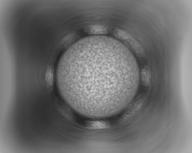 X0000101390741200807211012