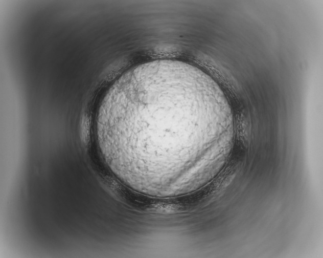 X0000101390742200807211012