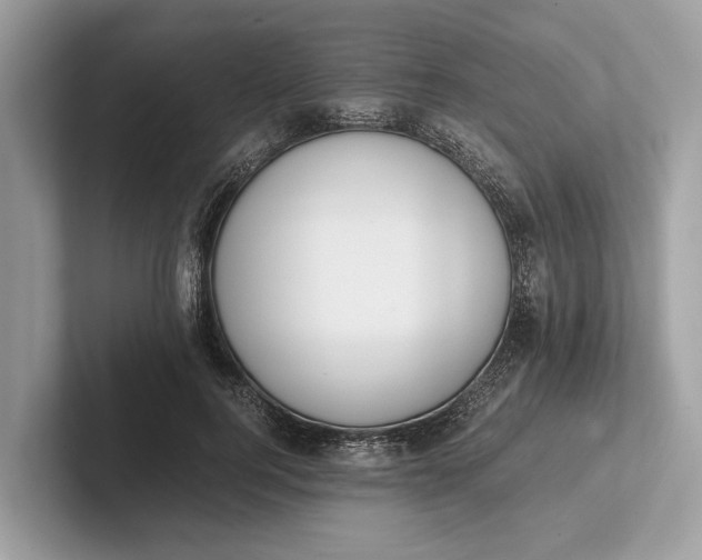 X0000101390744200807211013