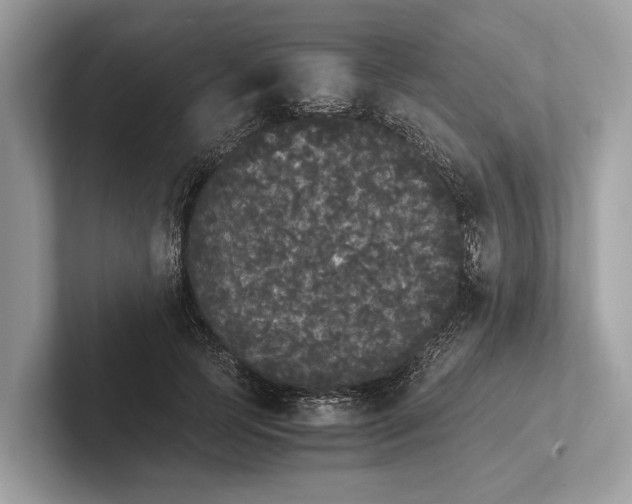 X0000101390745200807211013