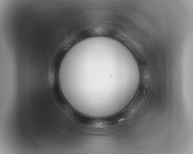 X0000101390746200807211013