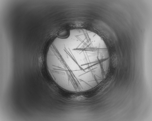 X0000101390747200807211013