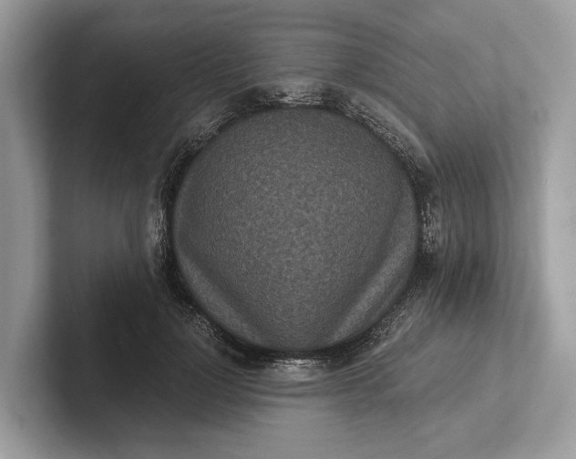 X0000101390748200807211013