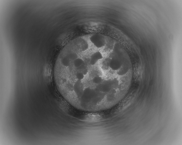 X0000101390749200807211013