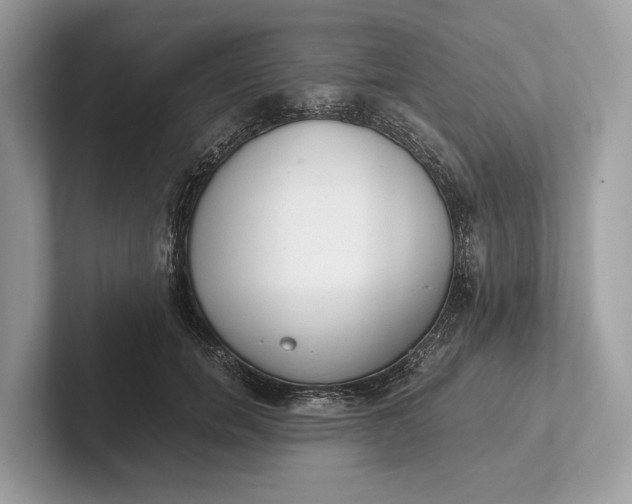 X0000101390750200807211013