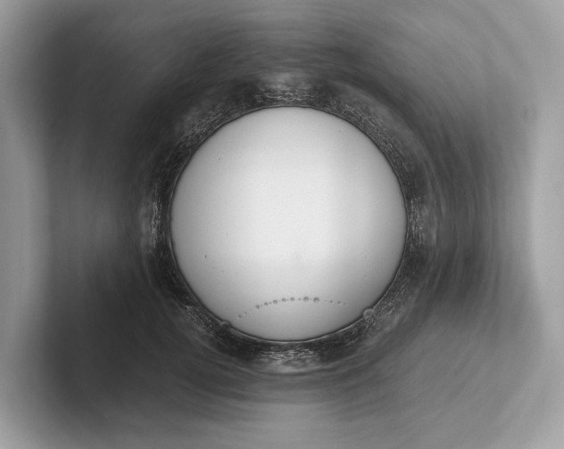 X0000101390752200807211013