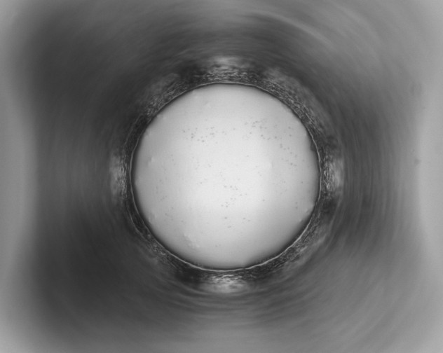 X0000101390753200807211013