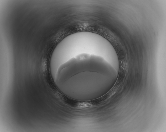 X0000101390754200807211013