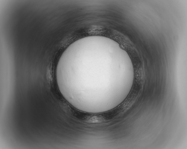 X0000101390755200807211013