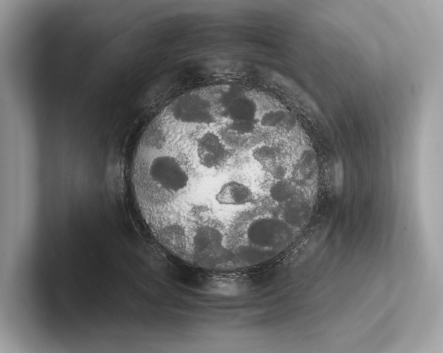 X0000101390757200807211013