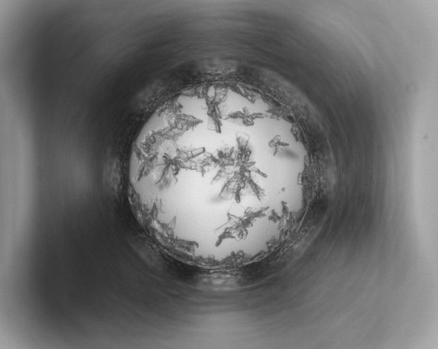 X0000101390758200807211013