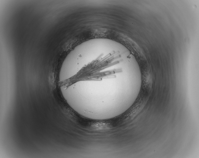 X0000101390759200807211013