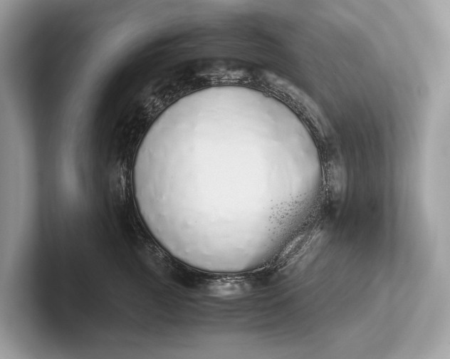 X0000101390761200807211013