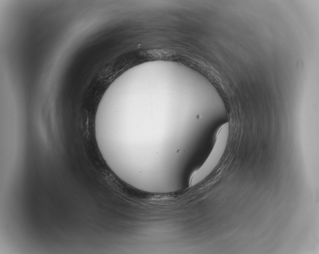 X0000101390762200807211013