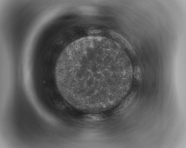 X0000101390763200807211013