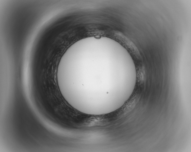 X0000101390764200807211013