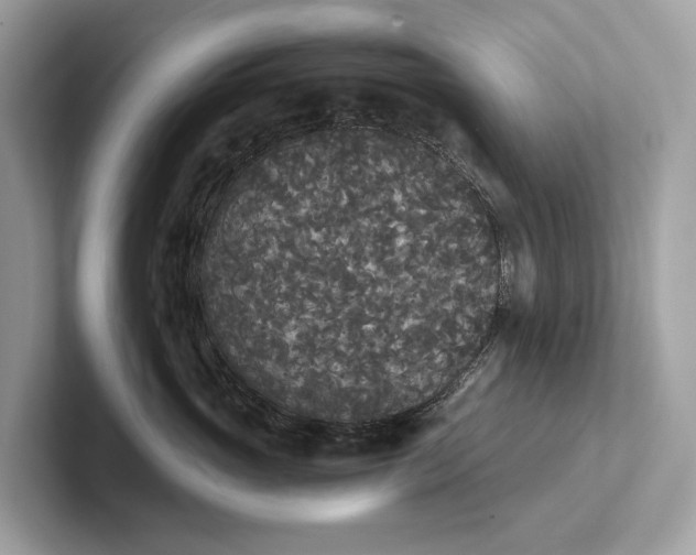 X0000101390765200807211013