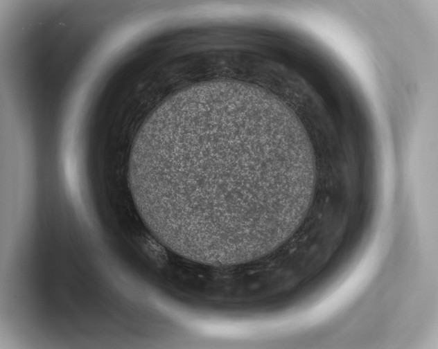 X0000101390766200807211013