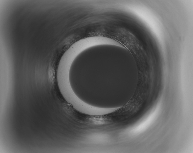 X0000101390767200807211013