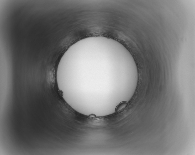 X0000101390768200807211013