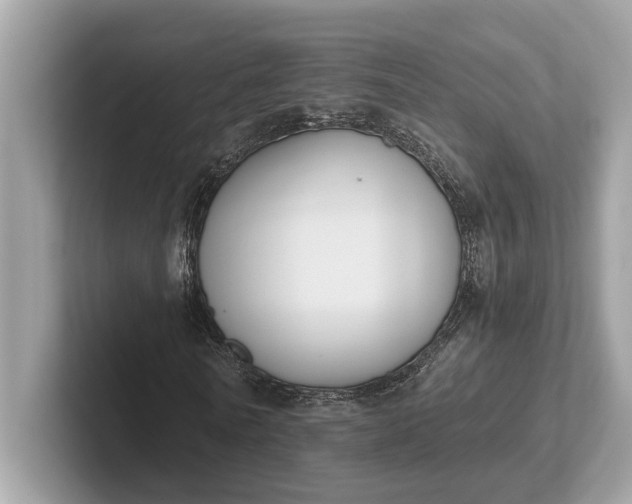 X0000101390770200807211012