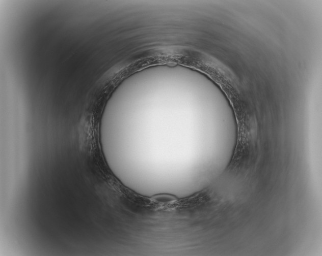 X0000101390773200807211012