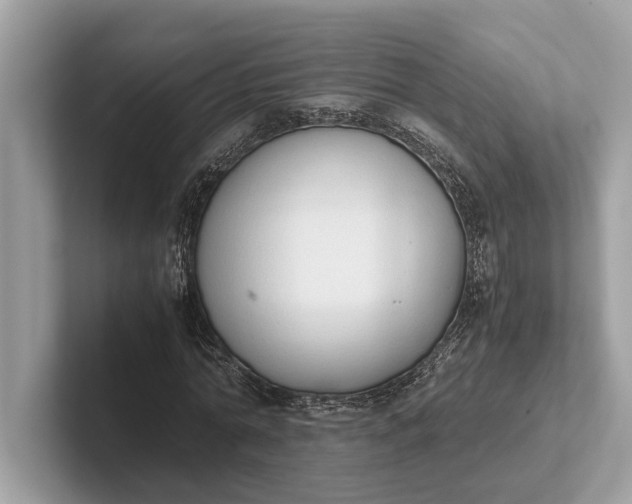 X0000101390774200807211012