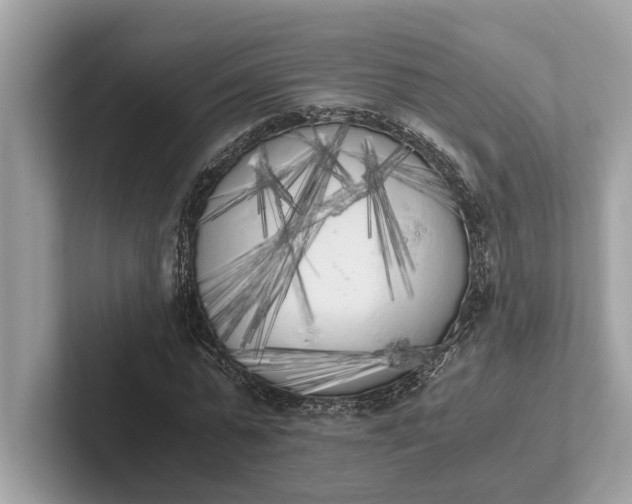 X0000101390775200807211012