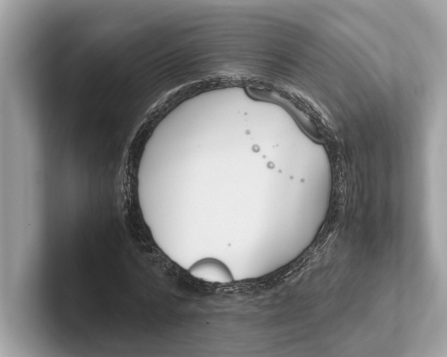 X0000101390776200807211012