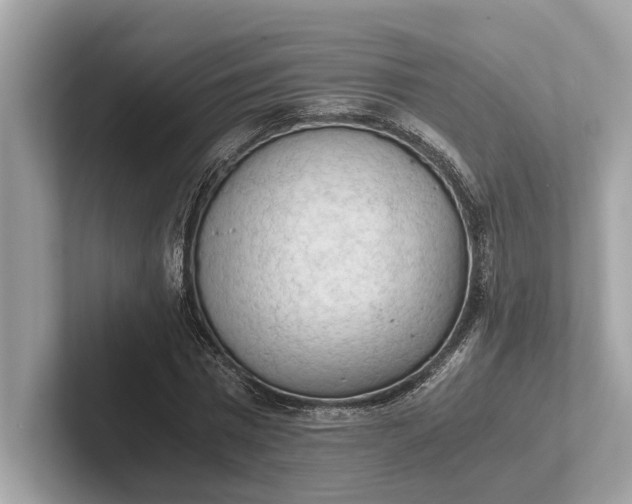 X0000101390777200807211012