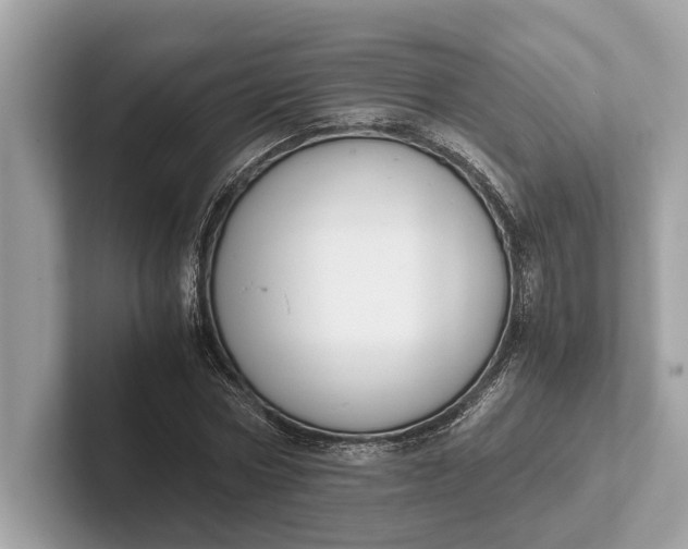 X0000101390778200807211012