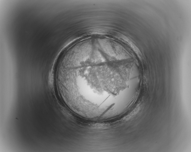 X0000101390779200807211012