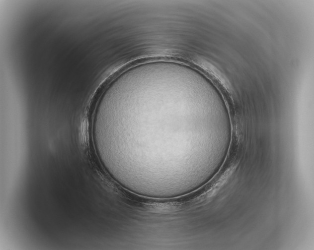 X0000101390781200807211012