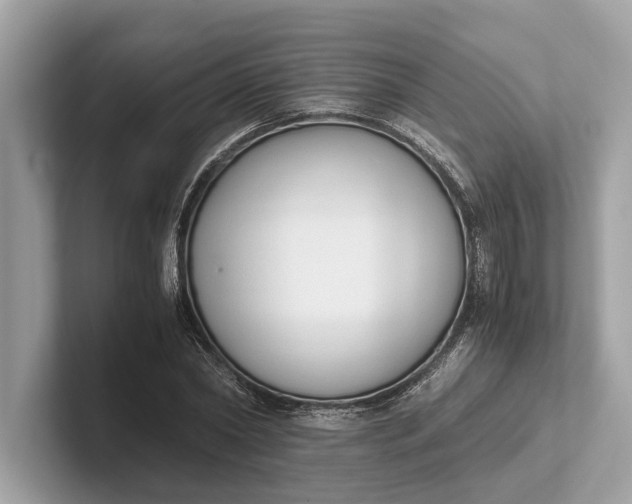 X0000101390782200807211012