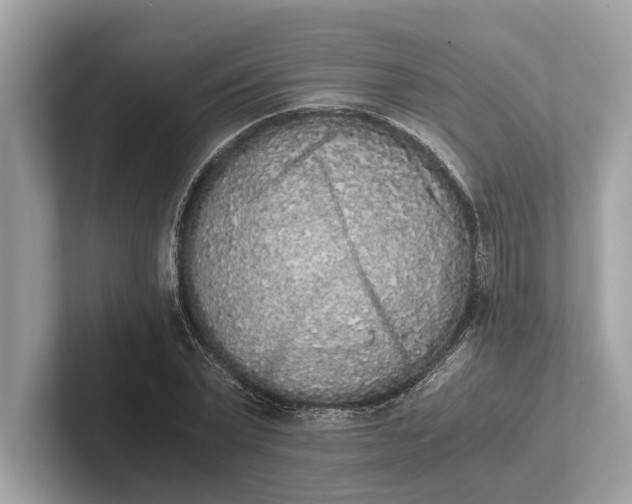 X0000101390783200807211012