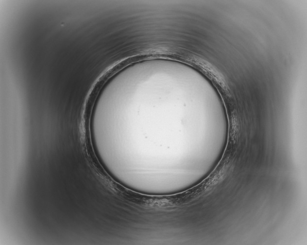 X0000101390784200807211012