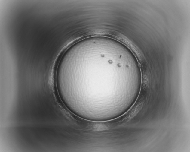 X0000101390787200807211012