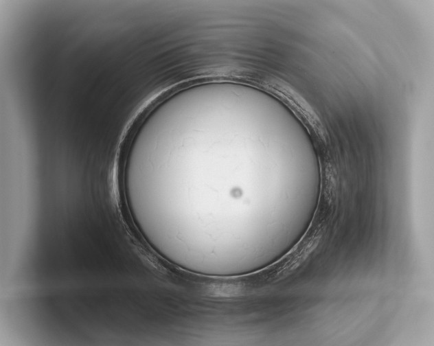 X0000101390788200807211012