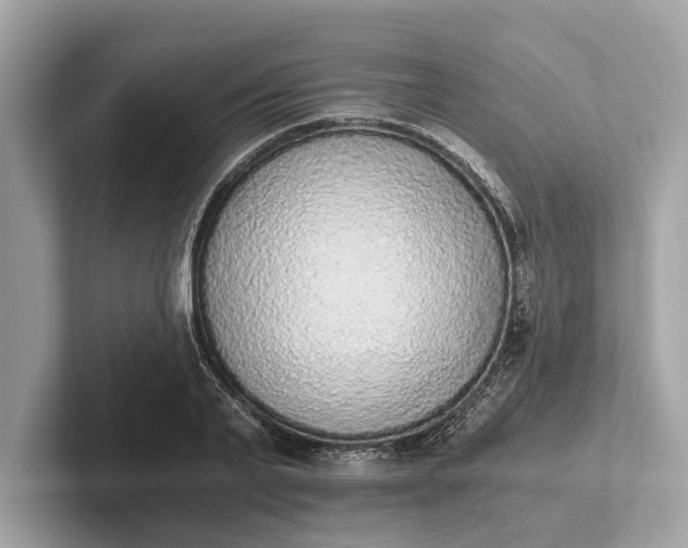 X0000101390791200807211012