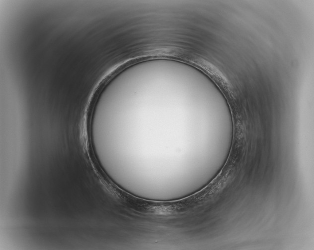 X0000101390792200807211012