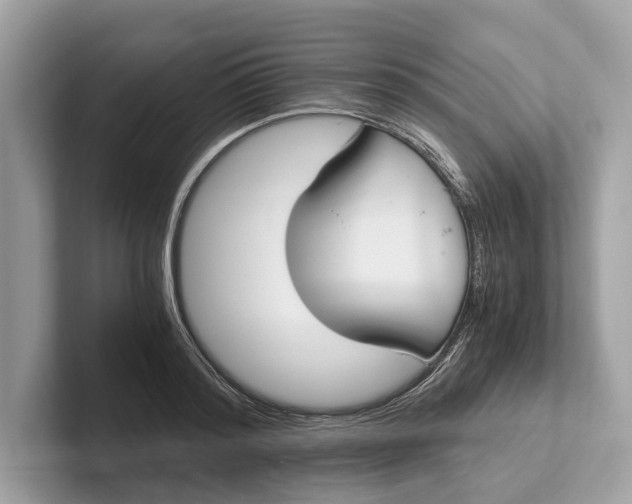 X0000101390796200807211012