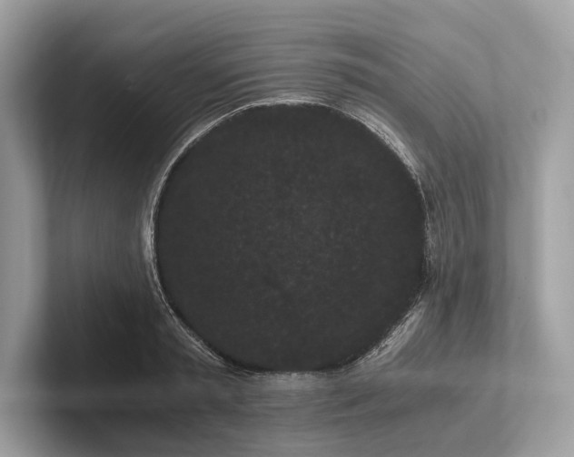 X0000101390797200807211012