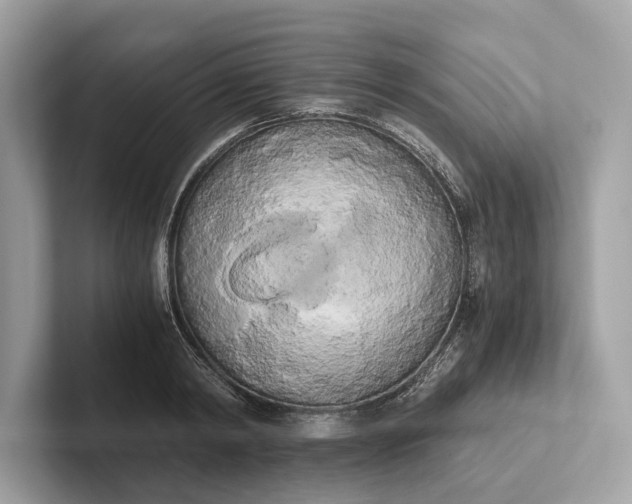 X0000101390798200807211012