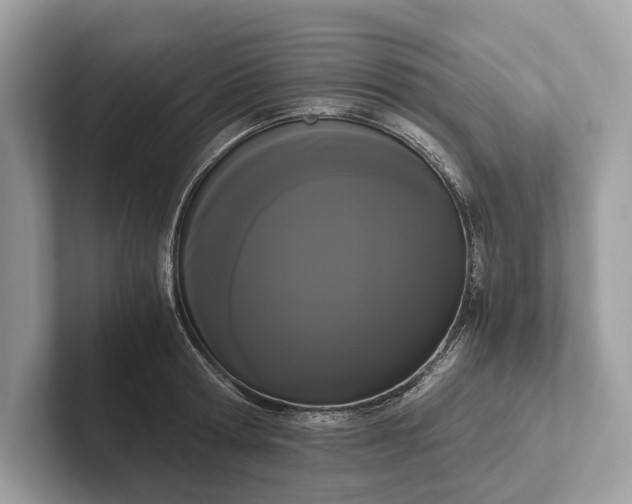 X0000101390802200807211012