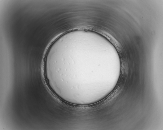 X0000101390804200807211012