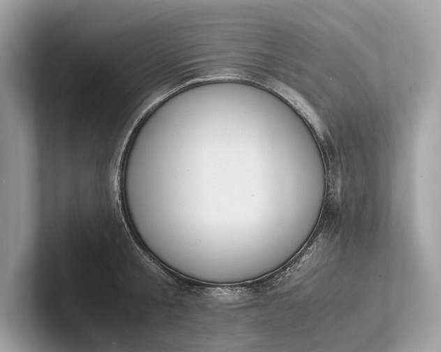 X0000101390805200807211012