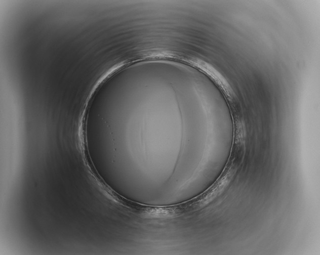 X0000101390806200807211012