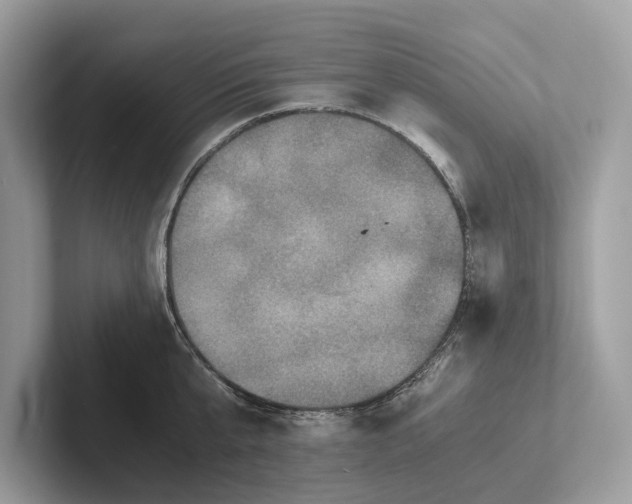 X0000101390807200807211012