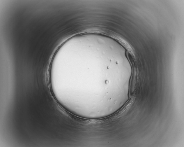 X0000101390808200807211012